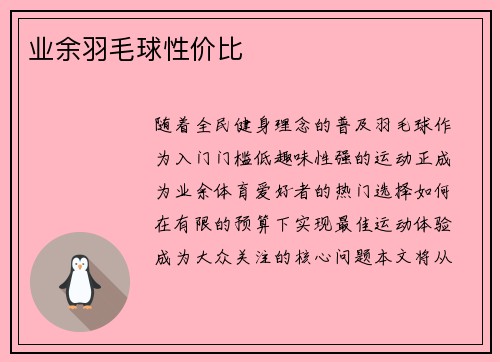 业余羽毛球性价比